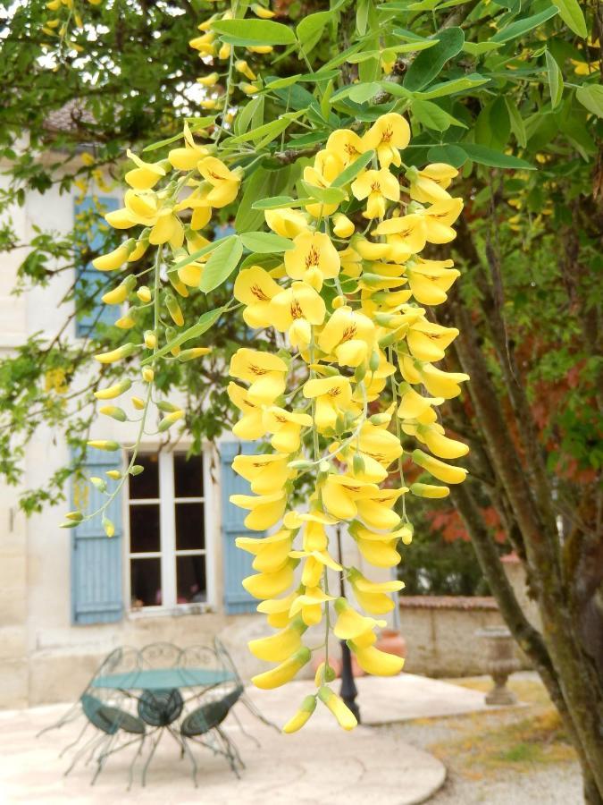 Une Parenthese En Champagne Jaucourt 外观 照片