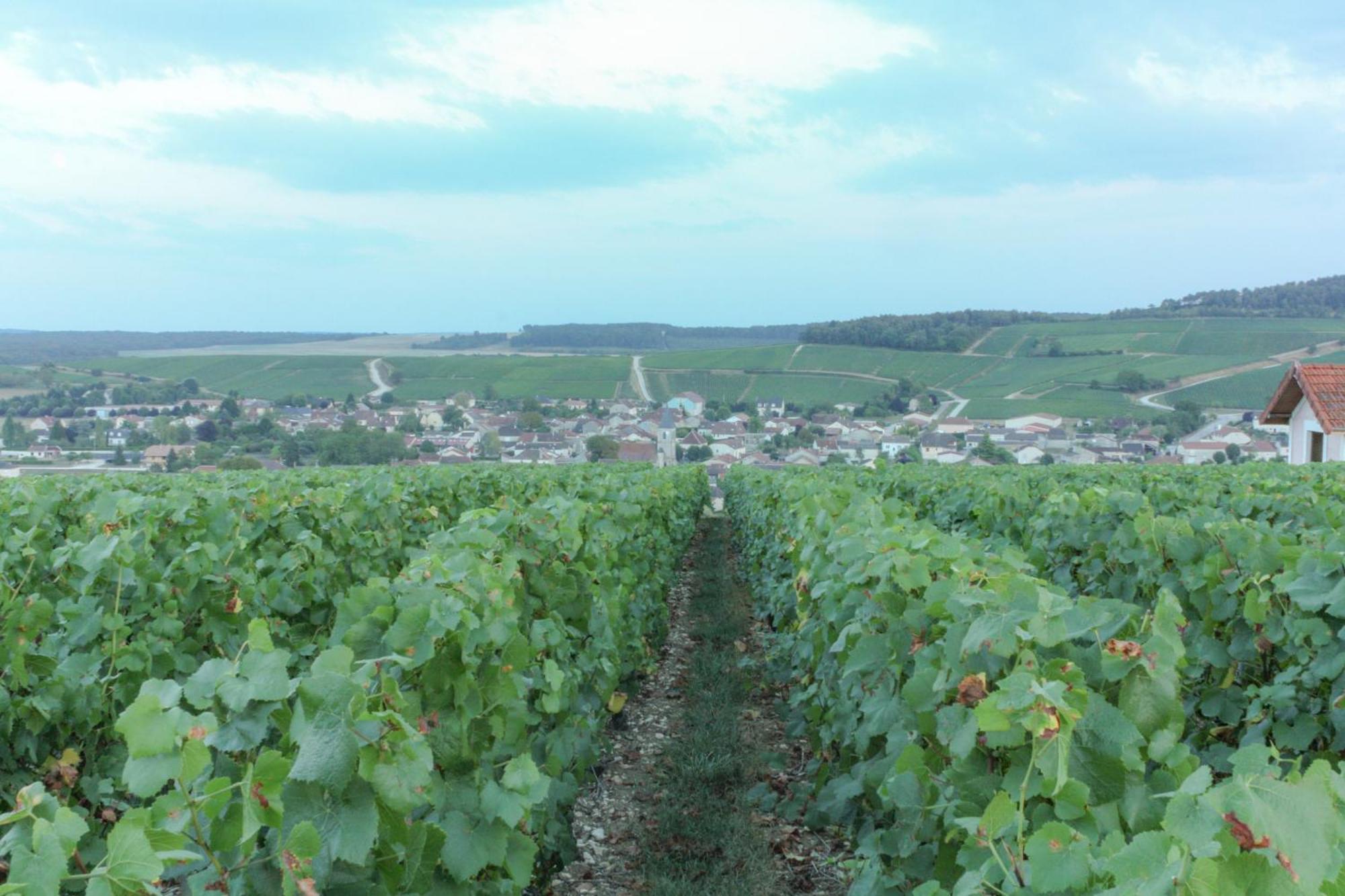 Une Parenthese En Champagne Jaucourt 外观 照片